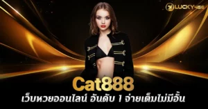 Cat888